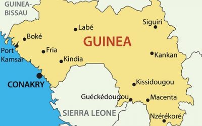 Conditions de rapatriements des guinéens par l’Office des étrangers