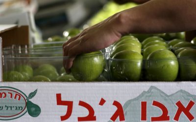 Étiquetage spécifique des produits provenant de colonies israéliennes